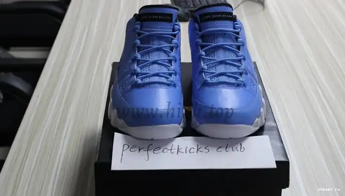 Authentic Low Jordan 9 Pantone Air 0502